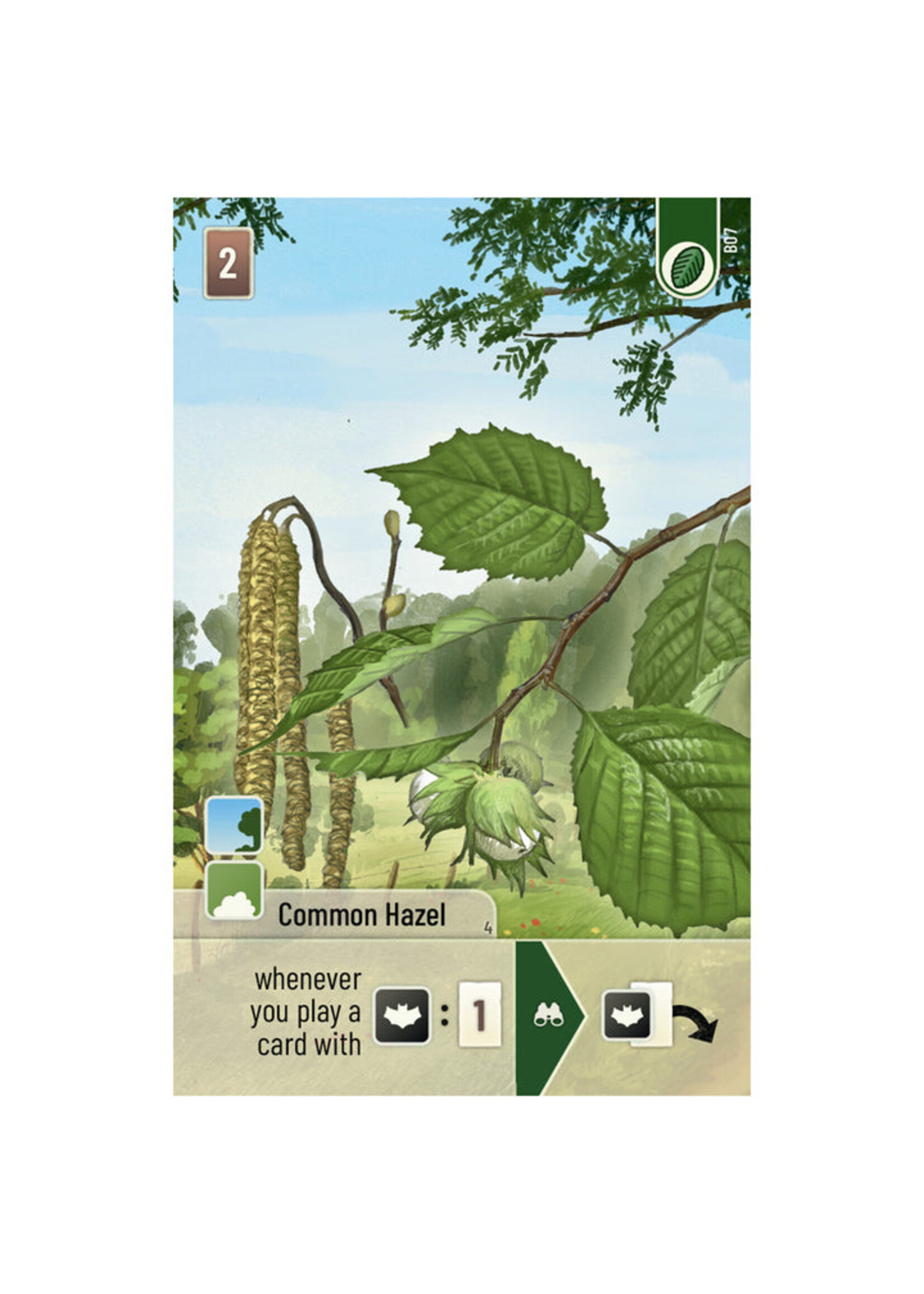 Lookout Games Forest Shuffle Woodland Edge
