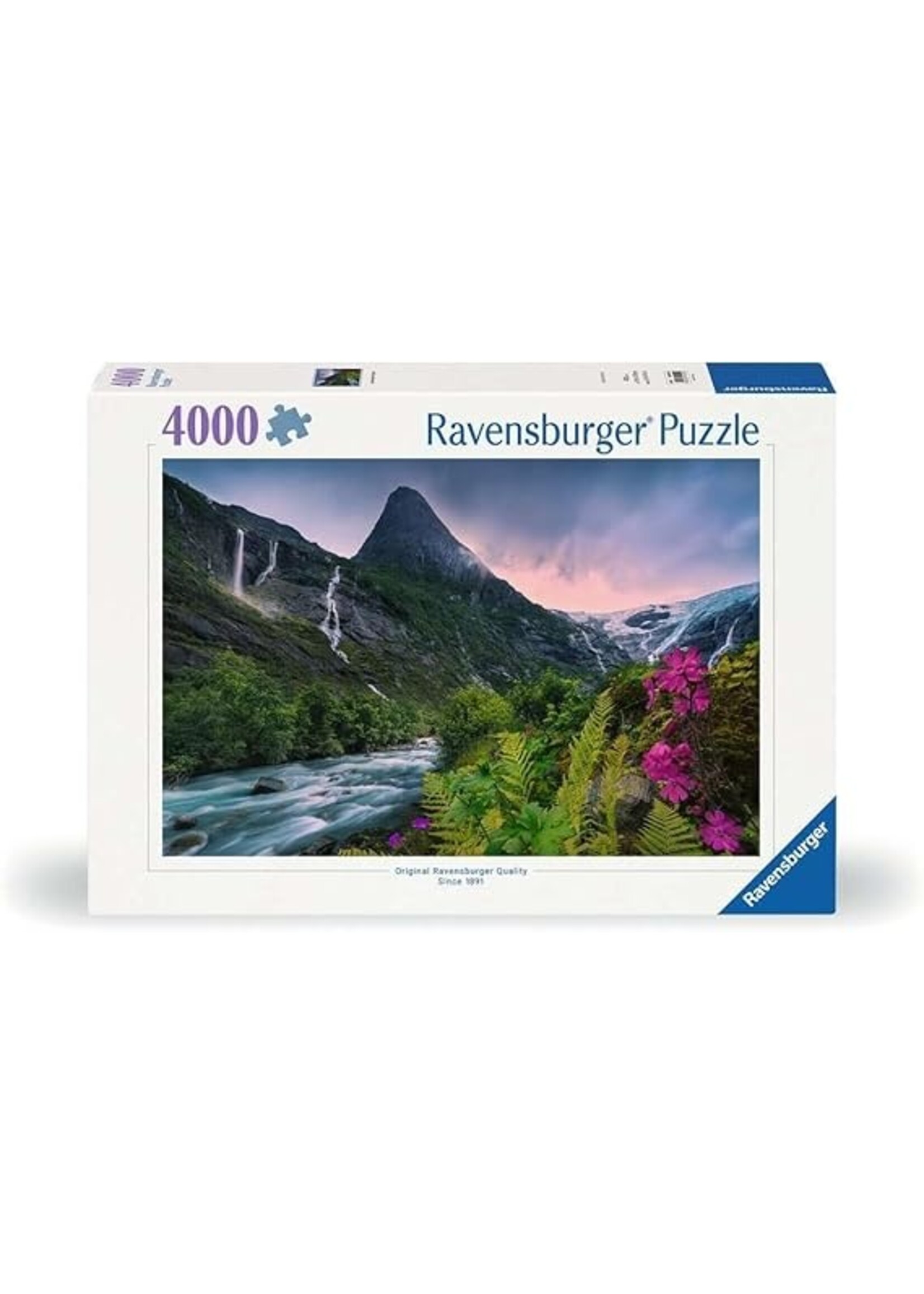 Ravensburger "Stunning Mountain Vibes" 4000 Piece Puzzle