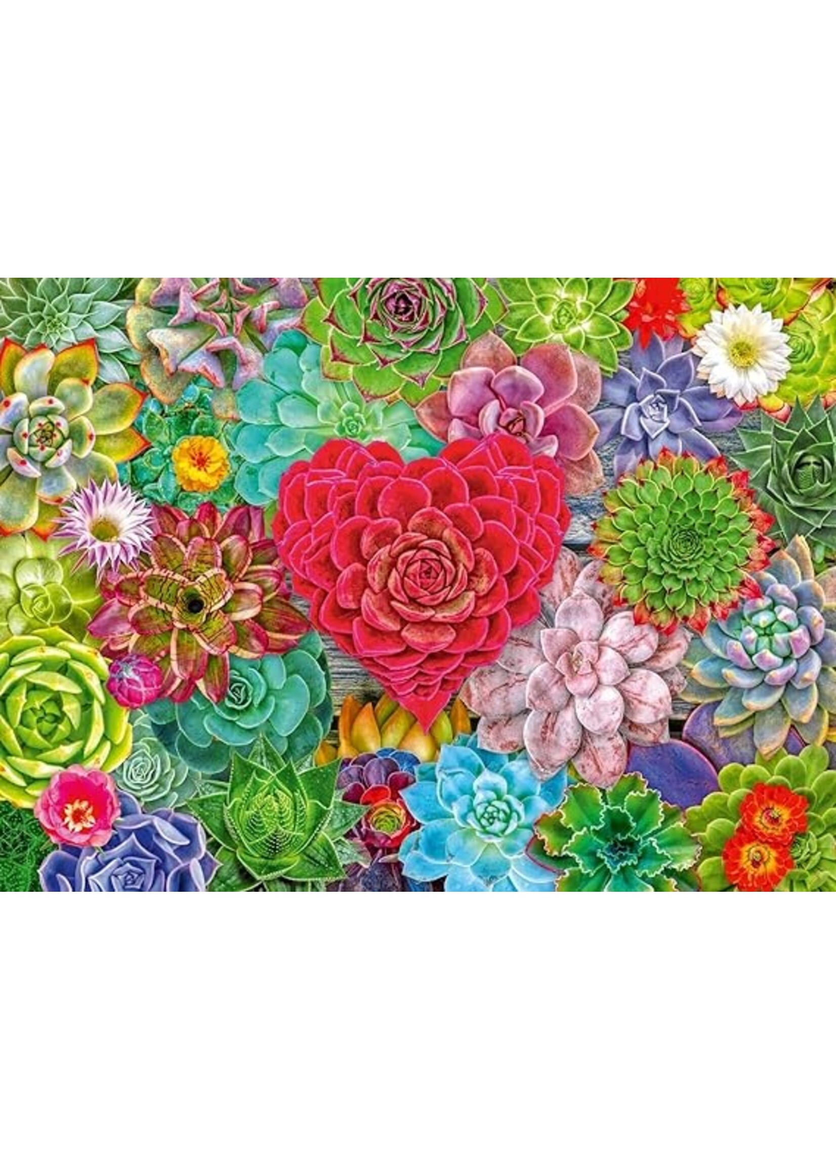 Ravensburger "Succulent Love" 500 Piece Puzzle
