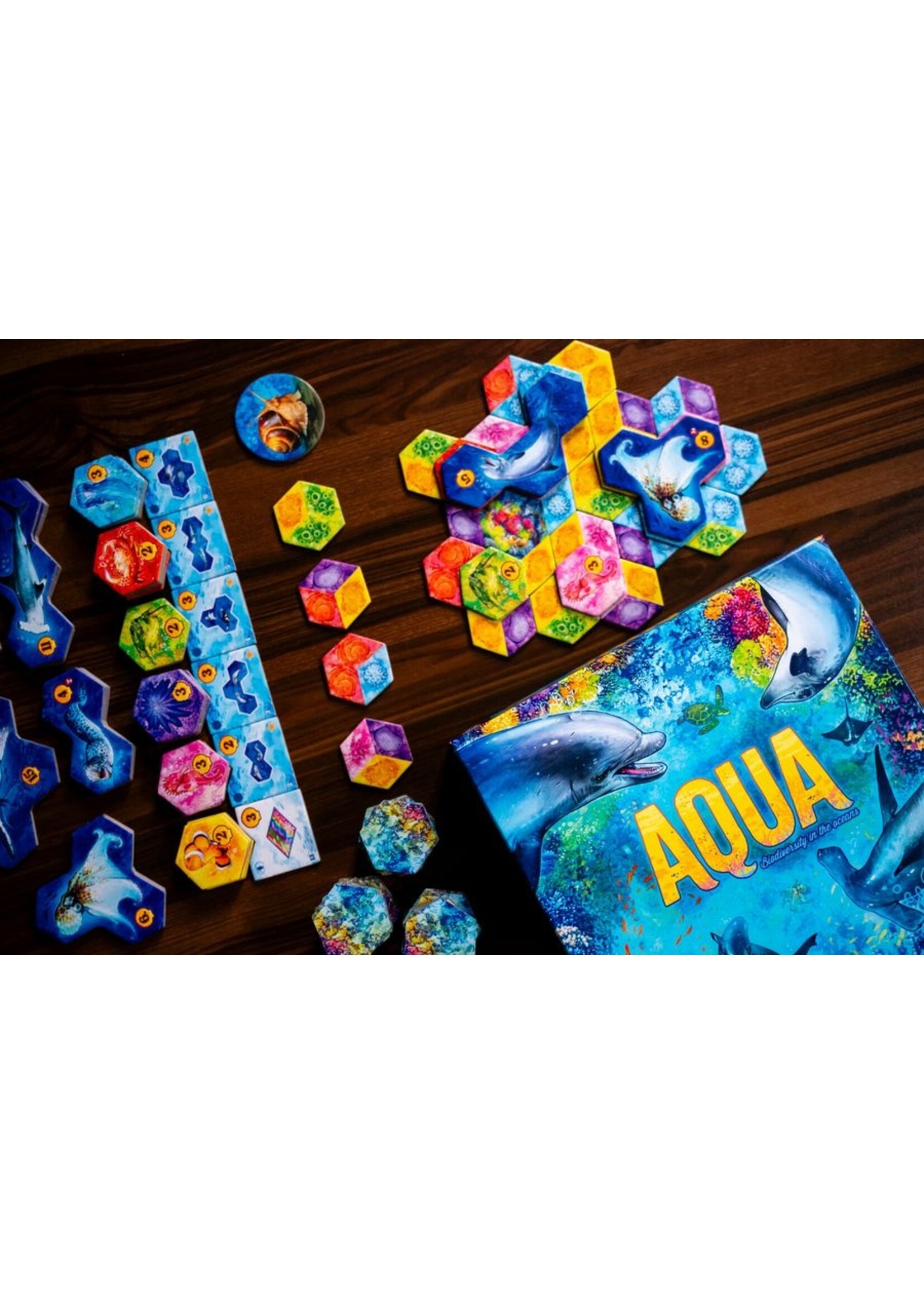 Sidekick Games Aqua