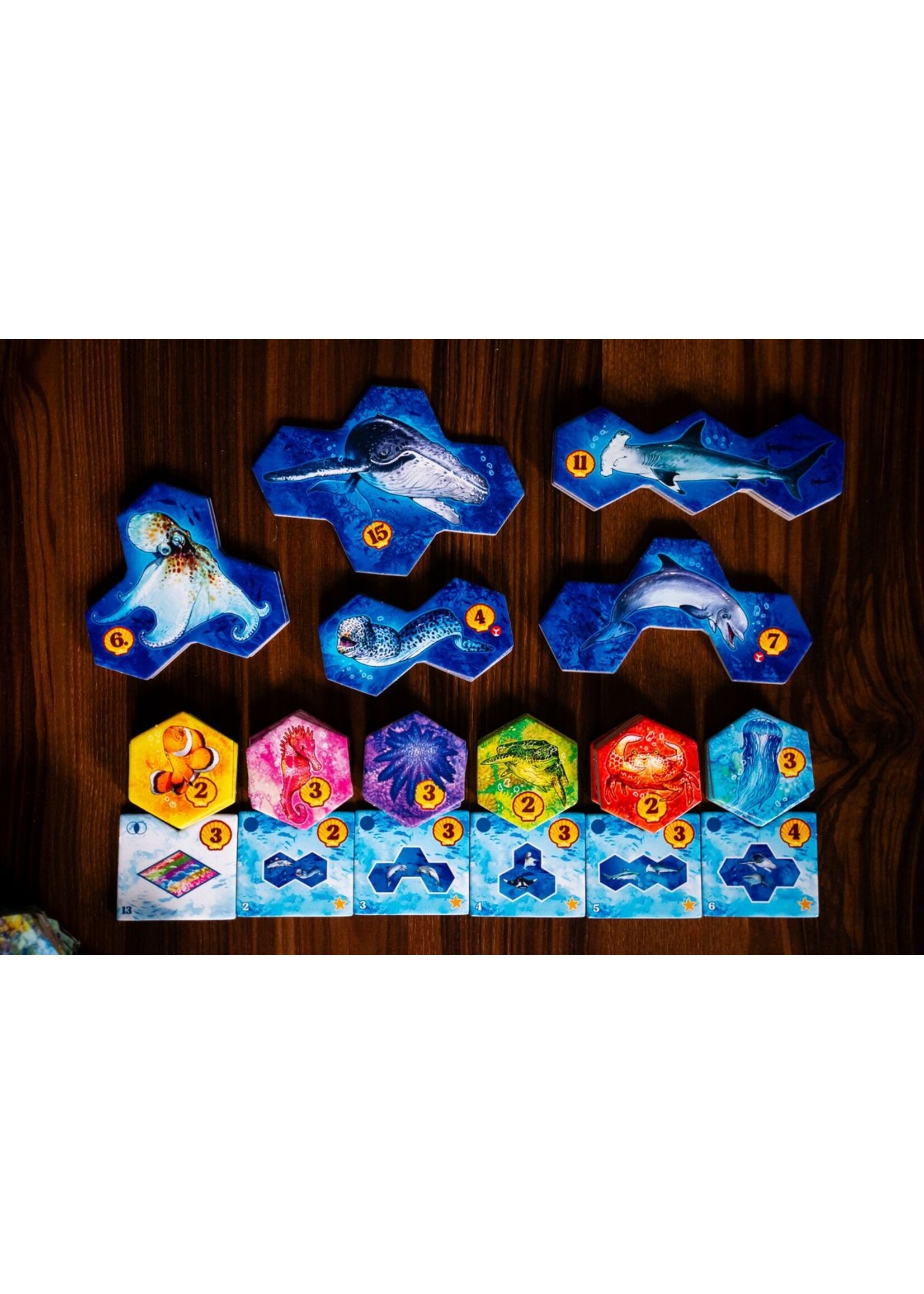 Sidekick Games Aqua