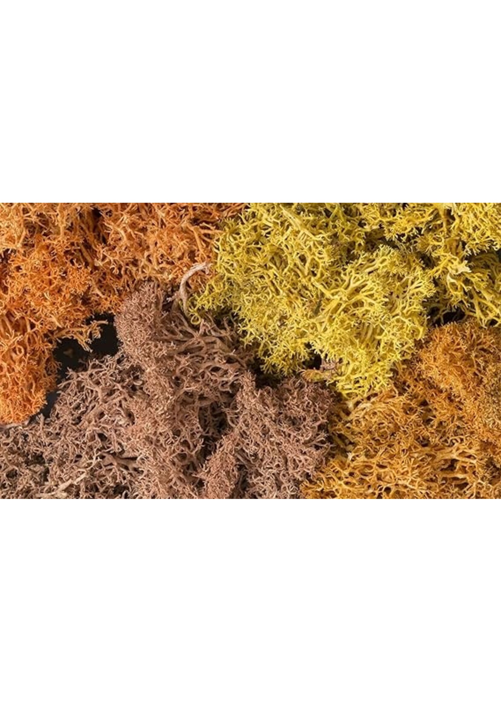 Woodland Scenics Autumn Mix Lichen 1.5 QT
