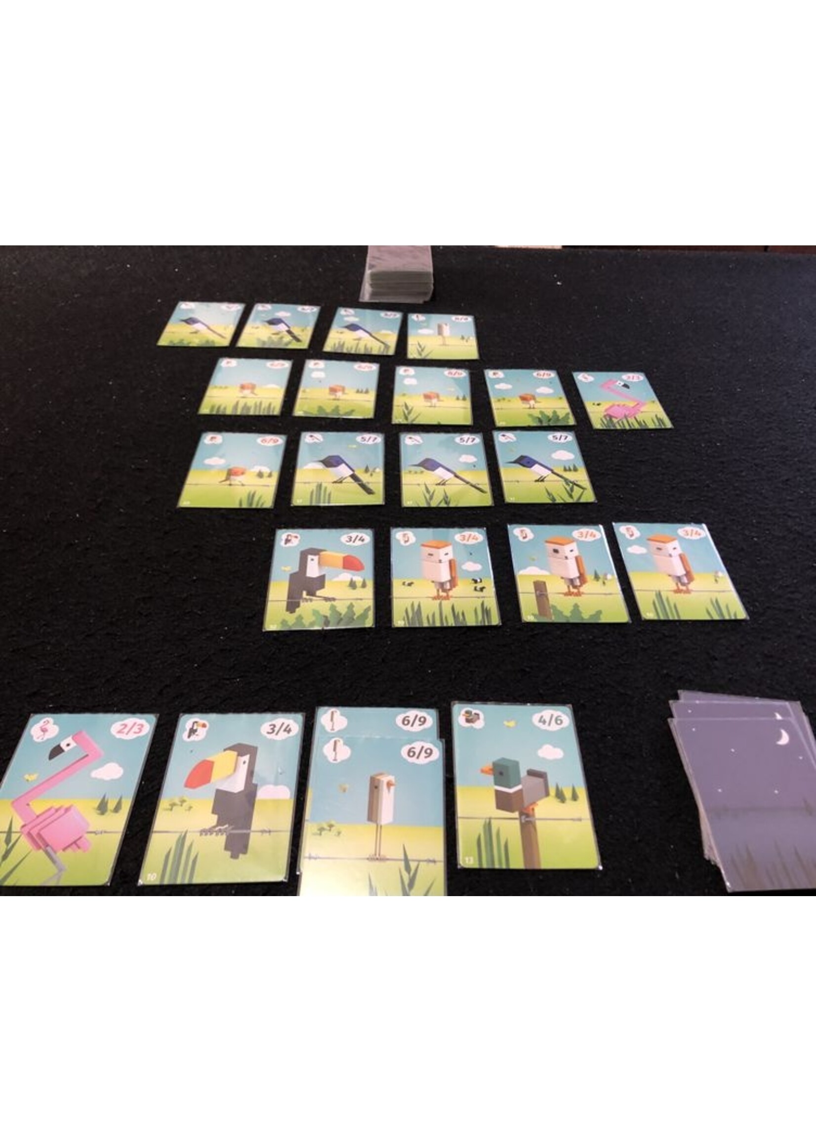 Pandasaurus Games CuBirds