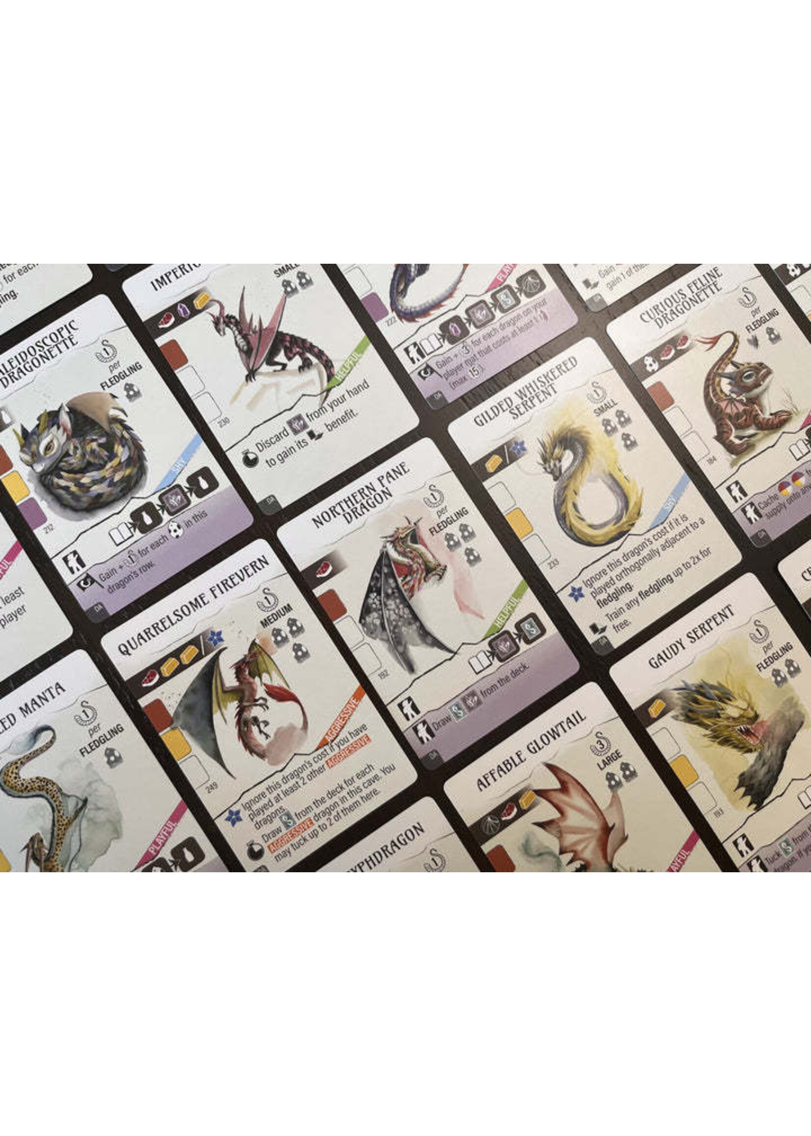 Stonemaier Games Wyrmspan Dragon Academy