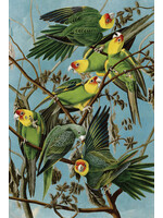 Artifact Puzzles "Audubon Carolina Parakeets" - Artifact Wooden Jigsaw Puzzle