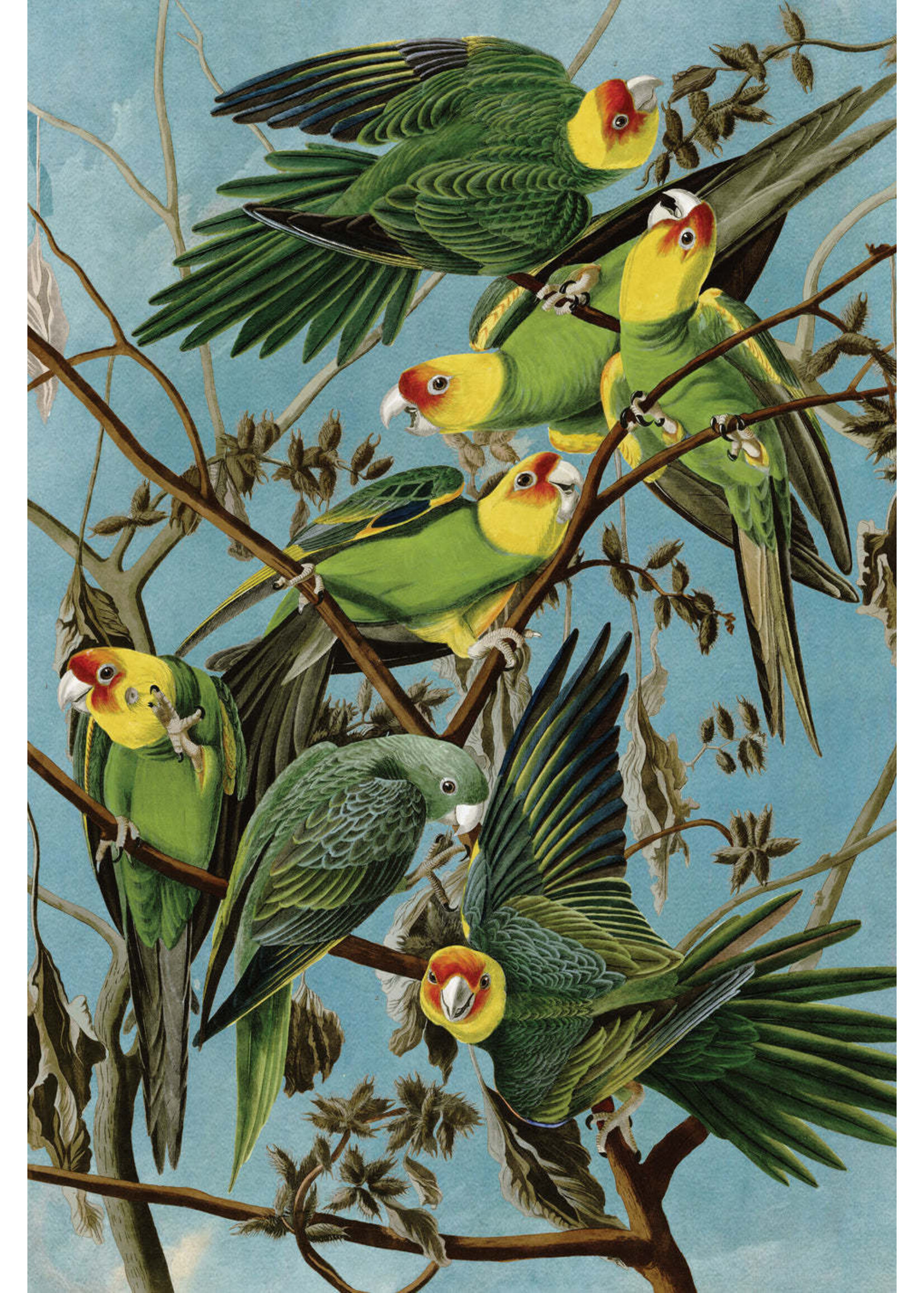 Artifact Puzzles "Audubon Carolina Parakeets" - Artifact Wooden Jigsaw Puzzle