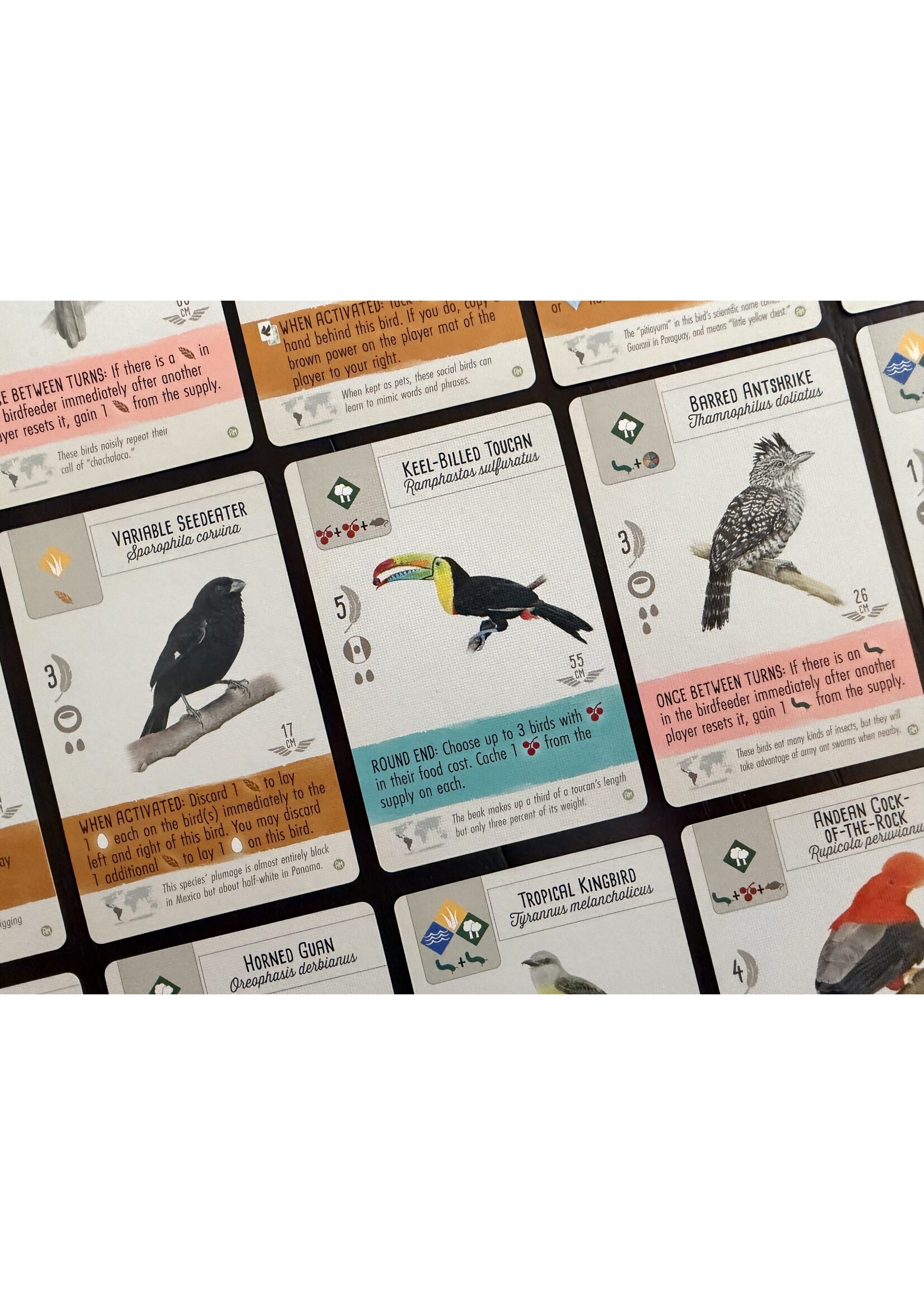 Stonemaier Games Wingspan - Americas Expansion