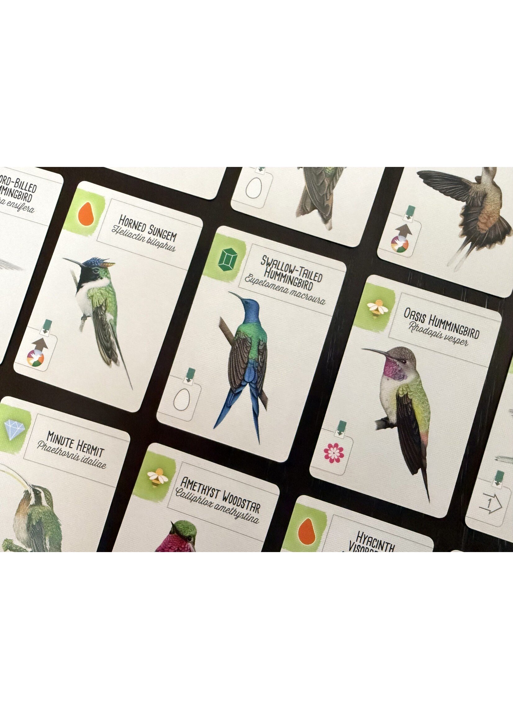 Stonemaier Games Wingspan - Americas Expansion