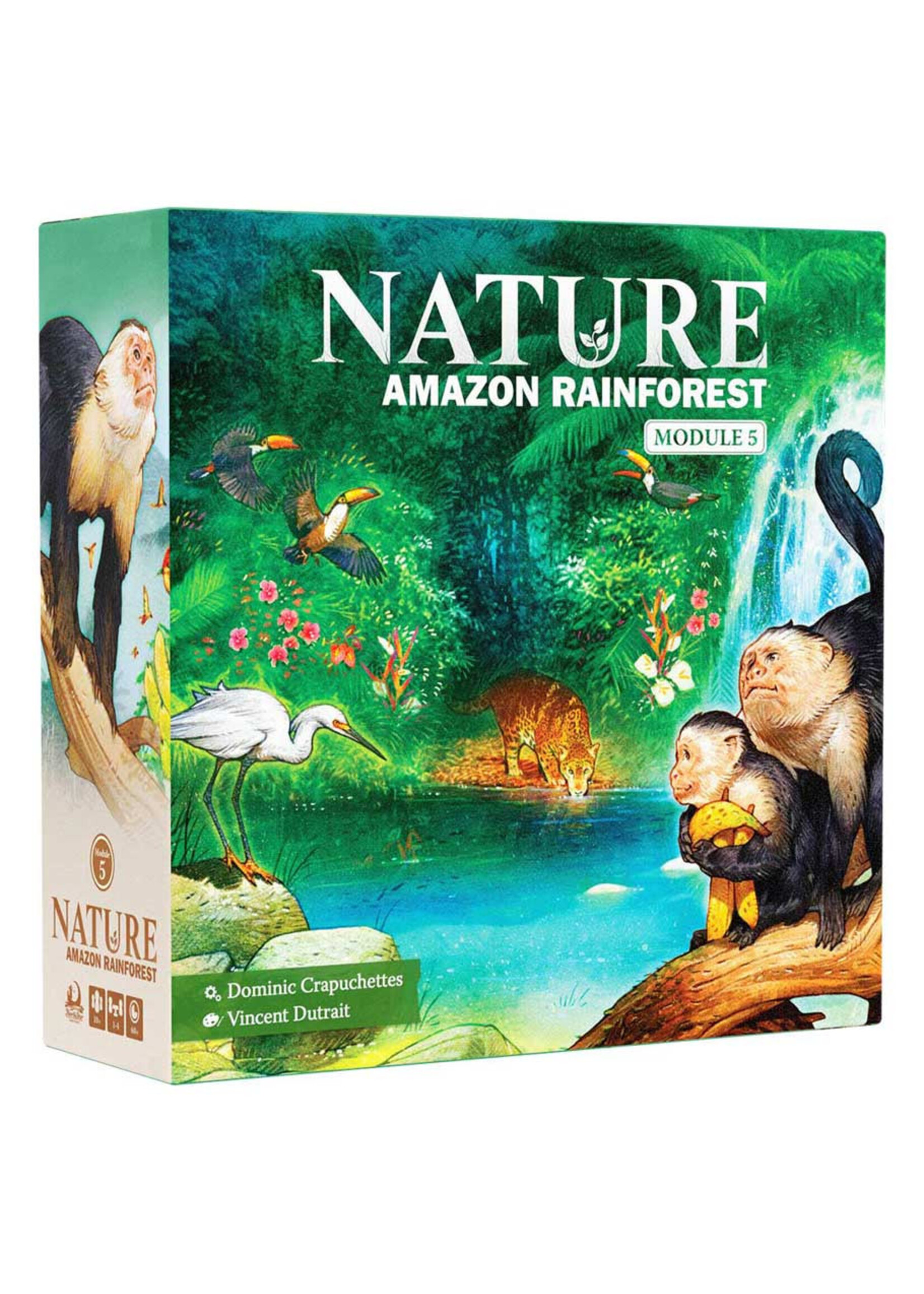 North Star Games Nature: Amazon Rainforest - Module 5
