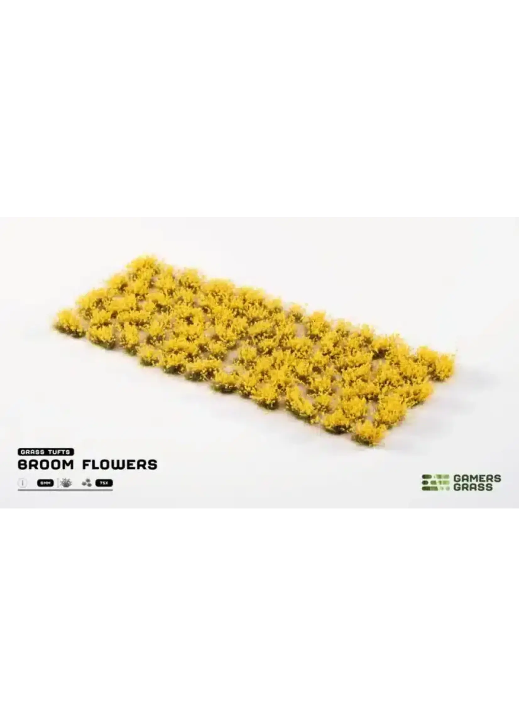 Gamers Grass Gamers Grass Broom Flowers