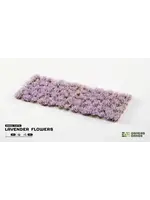 Gamers Grass Gamers Grass Lavender Flowers