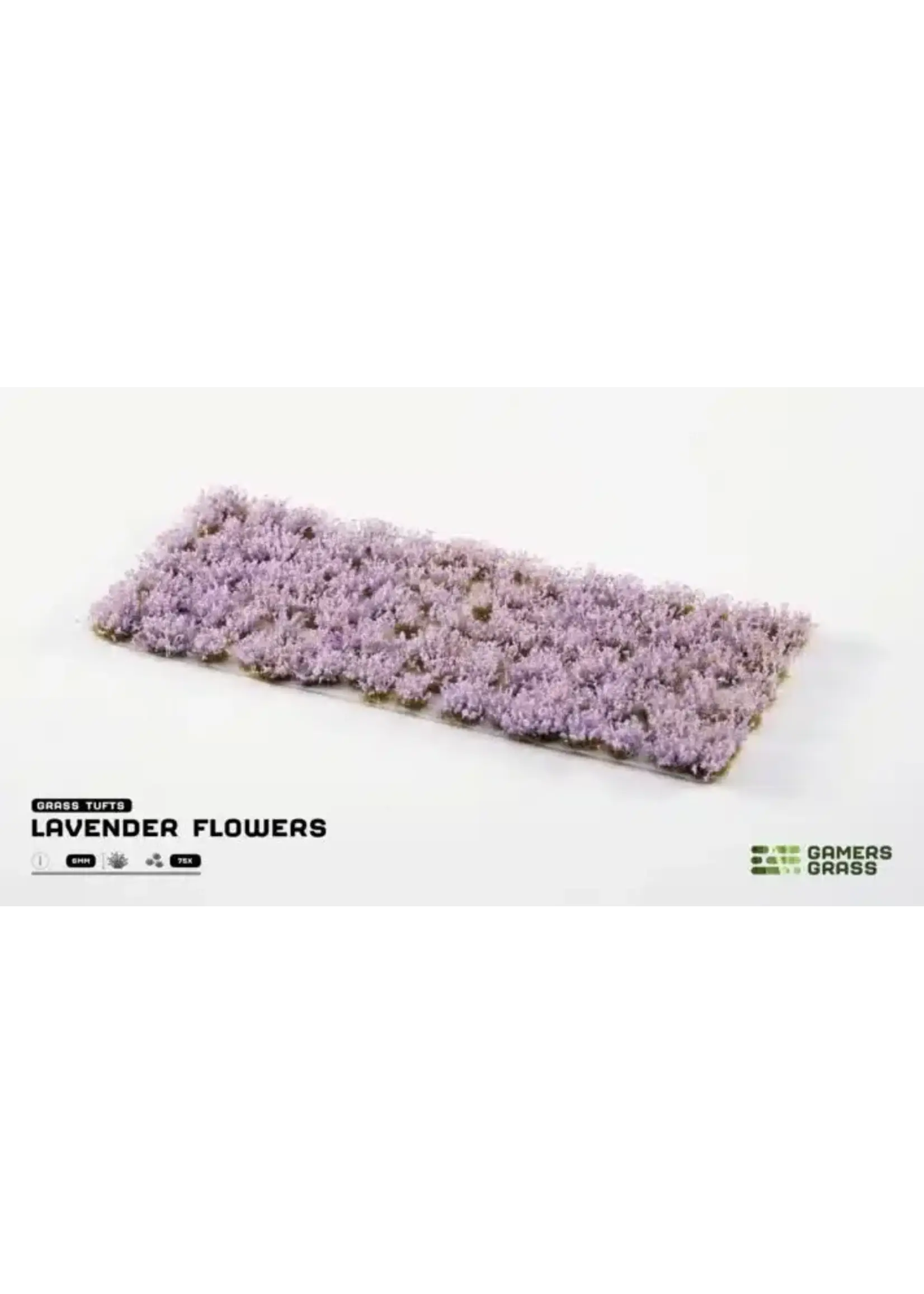 Gamers Grass Gamers Grass Lavender Flowers