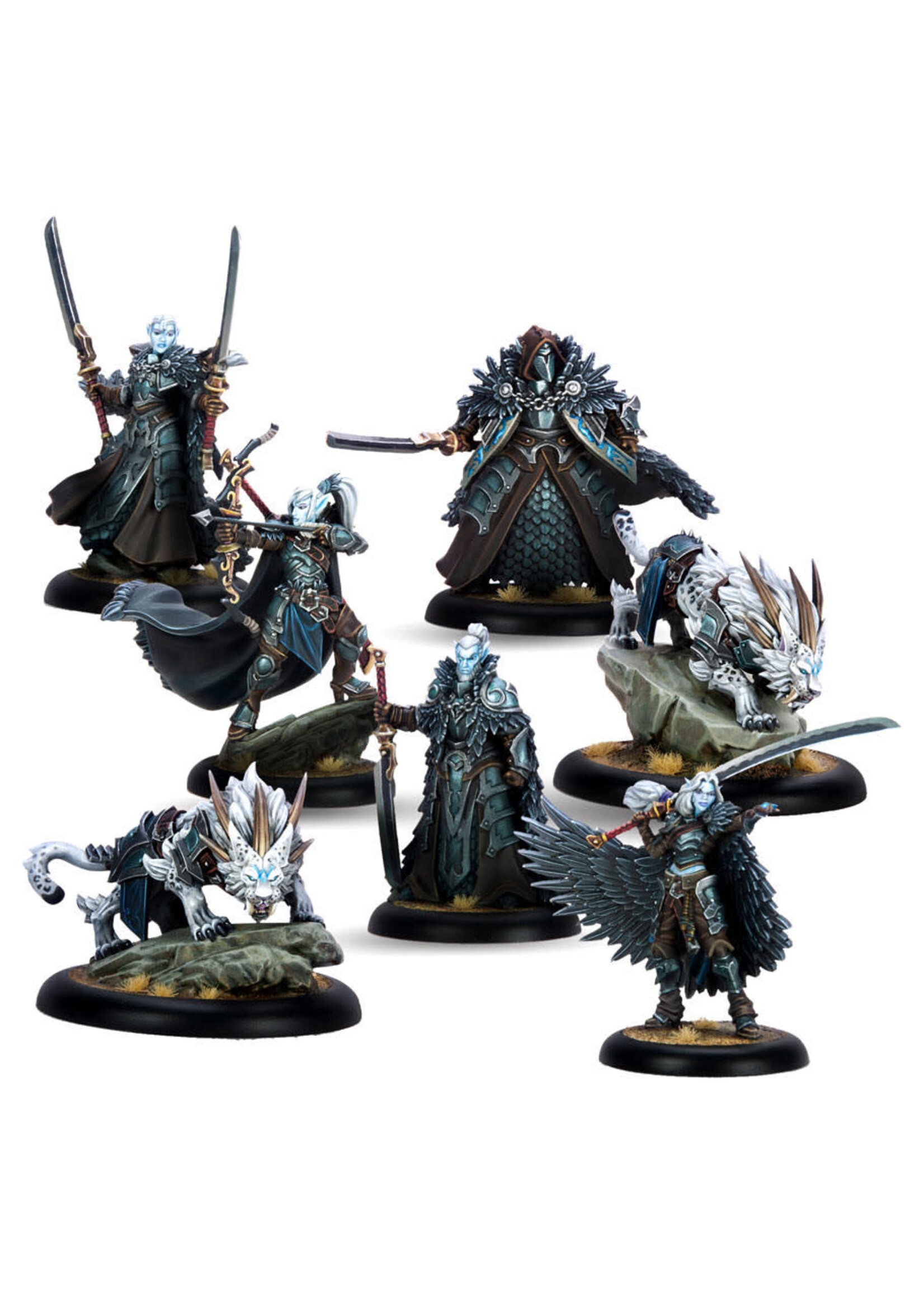 Steamforged Games LTD Warmachine MKIV Dusk Final Hunt Command Cadre