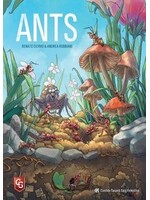 Candida Corsi ANTS