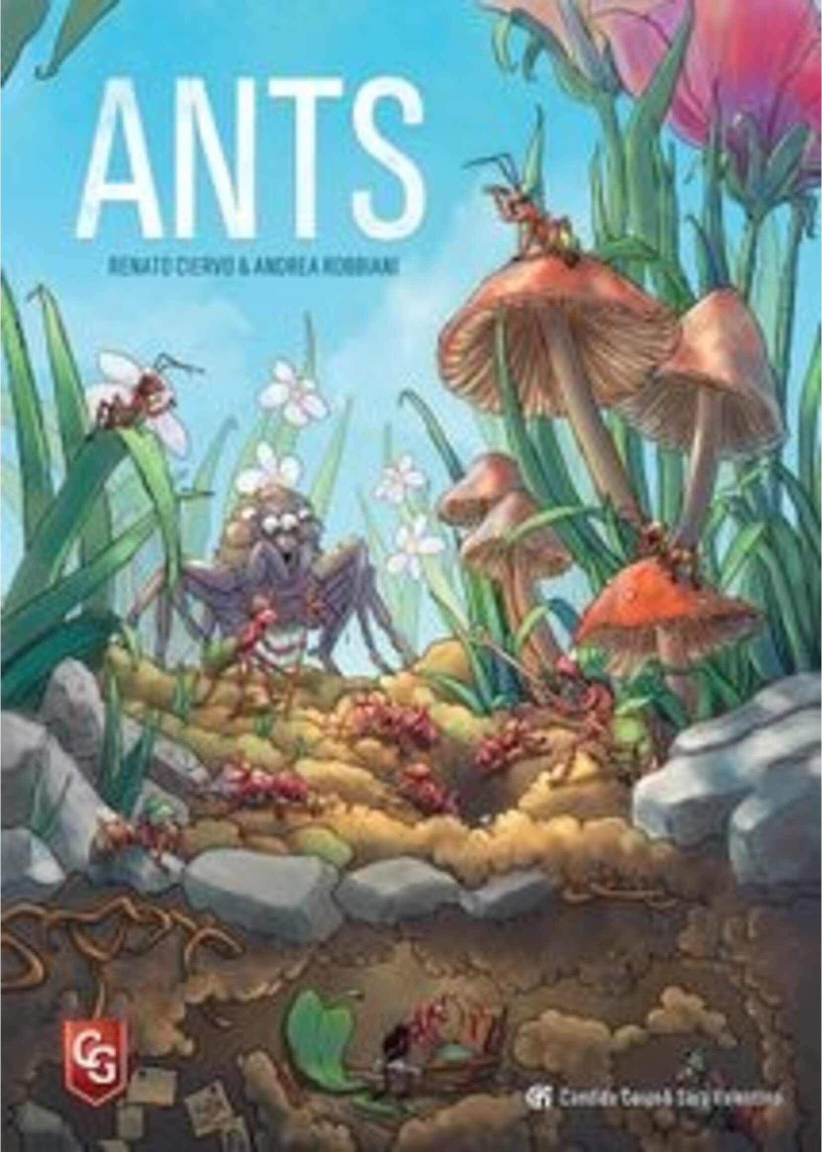 Candida Corsi ANTS