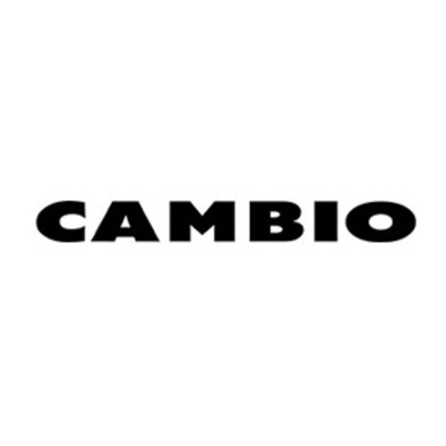 Cambio
