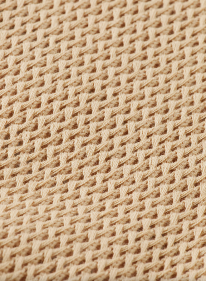 Tricot Scotch & Soda à col polo ajouré beige pâle