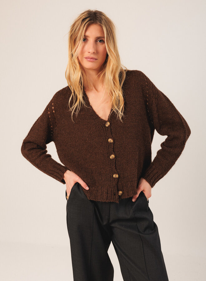Cardigan Indi & Cold à col V boutonné brun chocolat