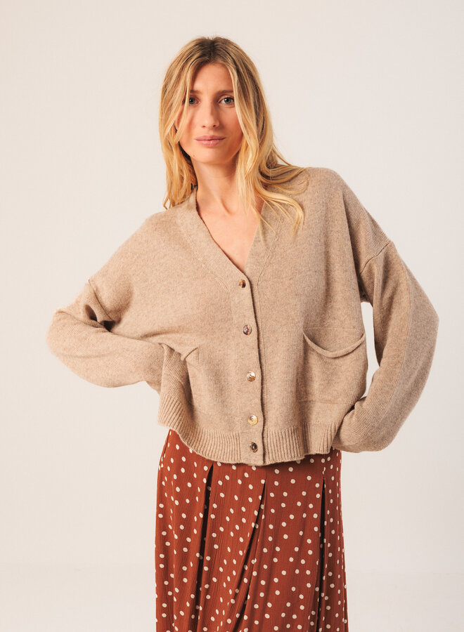 Cardigan Indi & Cold à col V boutonné à 2 poches beige
