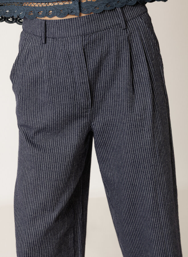 Pantalon Indi & Cold à plis bleu marine rayé