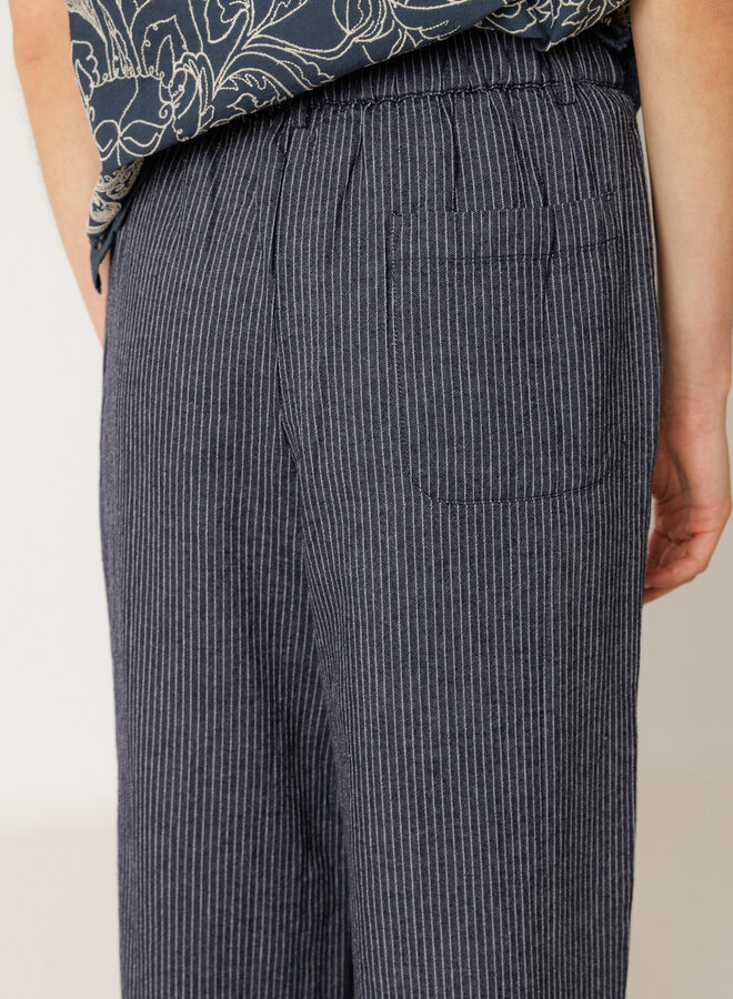 Pantalon Indi & Cold à plis bleu marine rayé