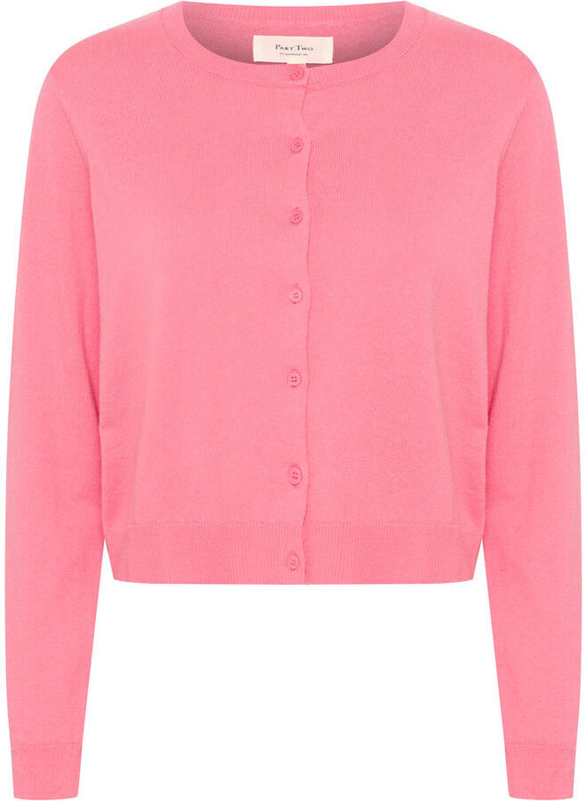 Cardigan Part Two Ellamarie rose