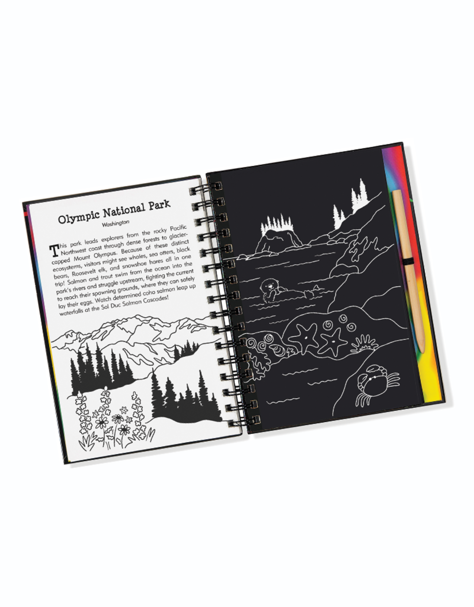 National Parks Scratch & Sketch