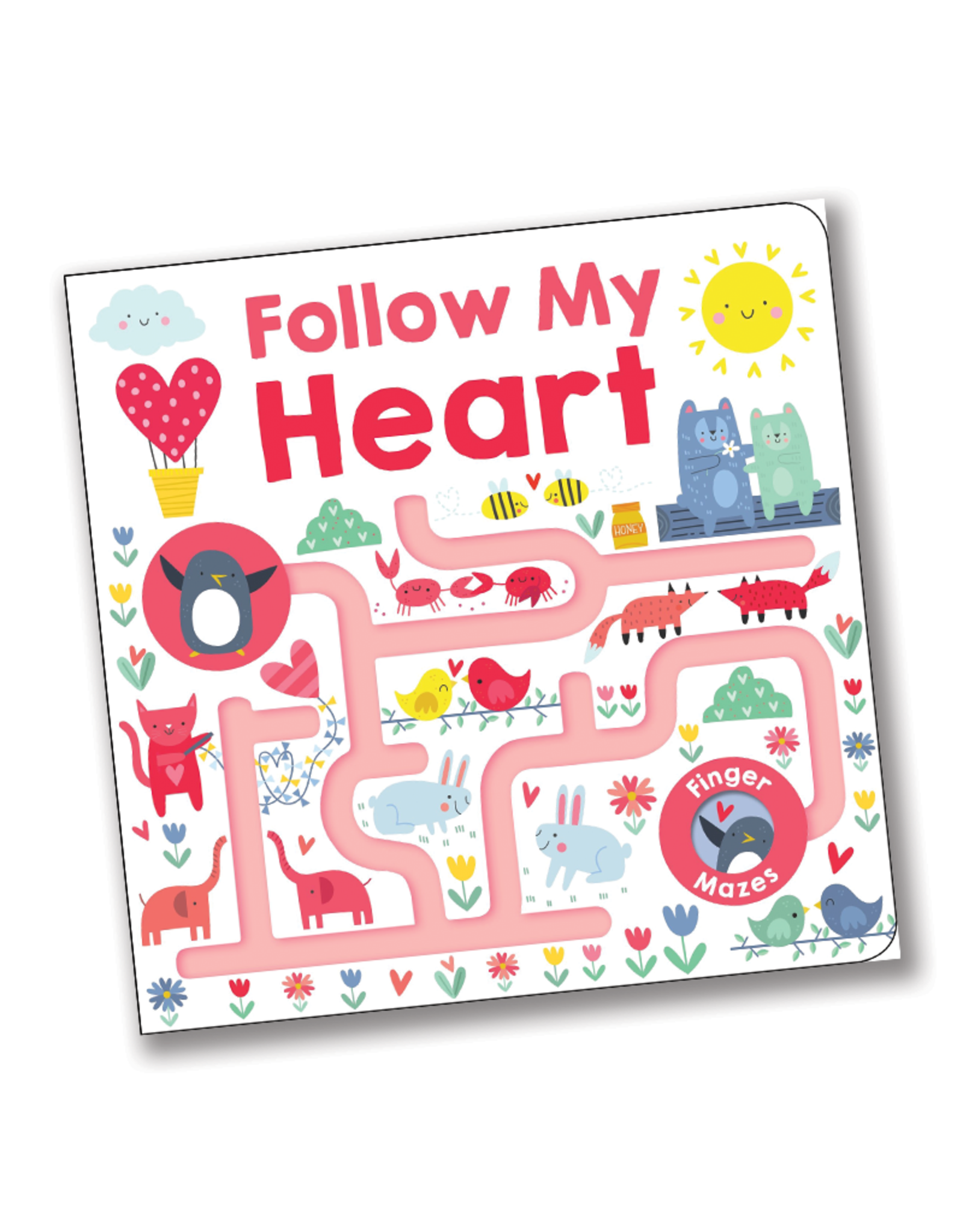 Follow My Heart:  Maze Book