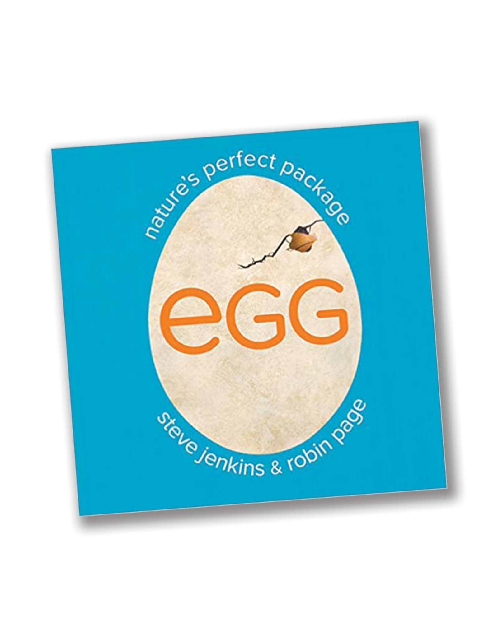 Egg: Nature's Perfect Package