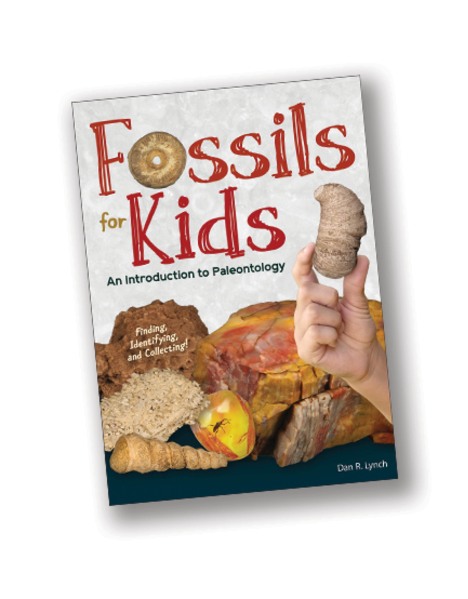 Fossils for Kids: Finding, Identifying, and Collecting (Simple Introductions to Science)