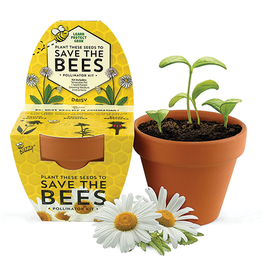 Save The Bees Daisy Grow Kit