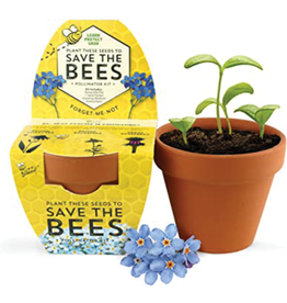 Save The Bees Forget-Me-Not Grow Kit