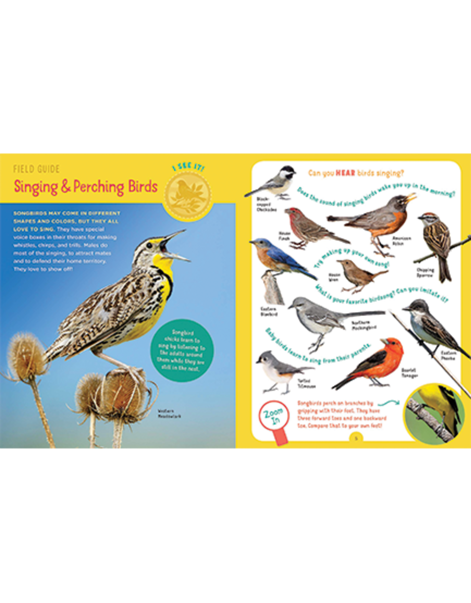 Backpack Explorer: Bird Watch