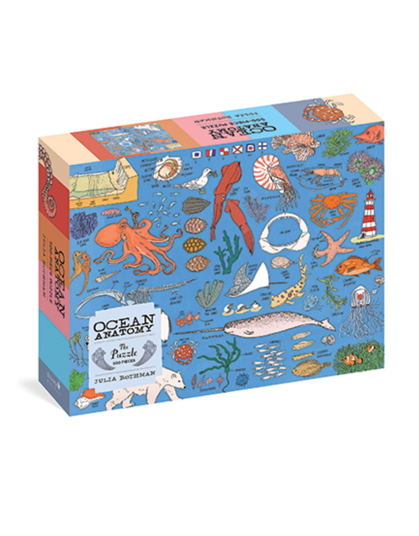 Ocean Anatomy 500 Piece Puzzle