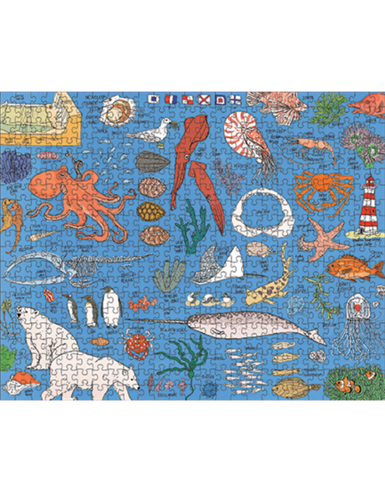 Ocean Anatomy 500 Piece Puzzle