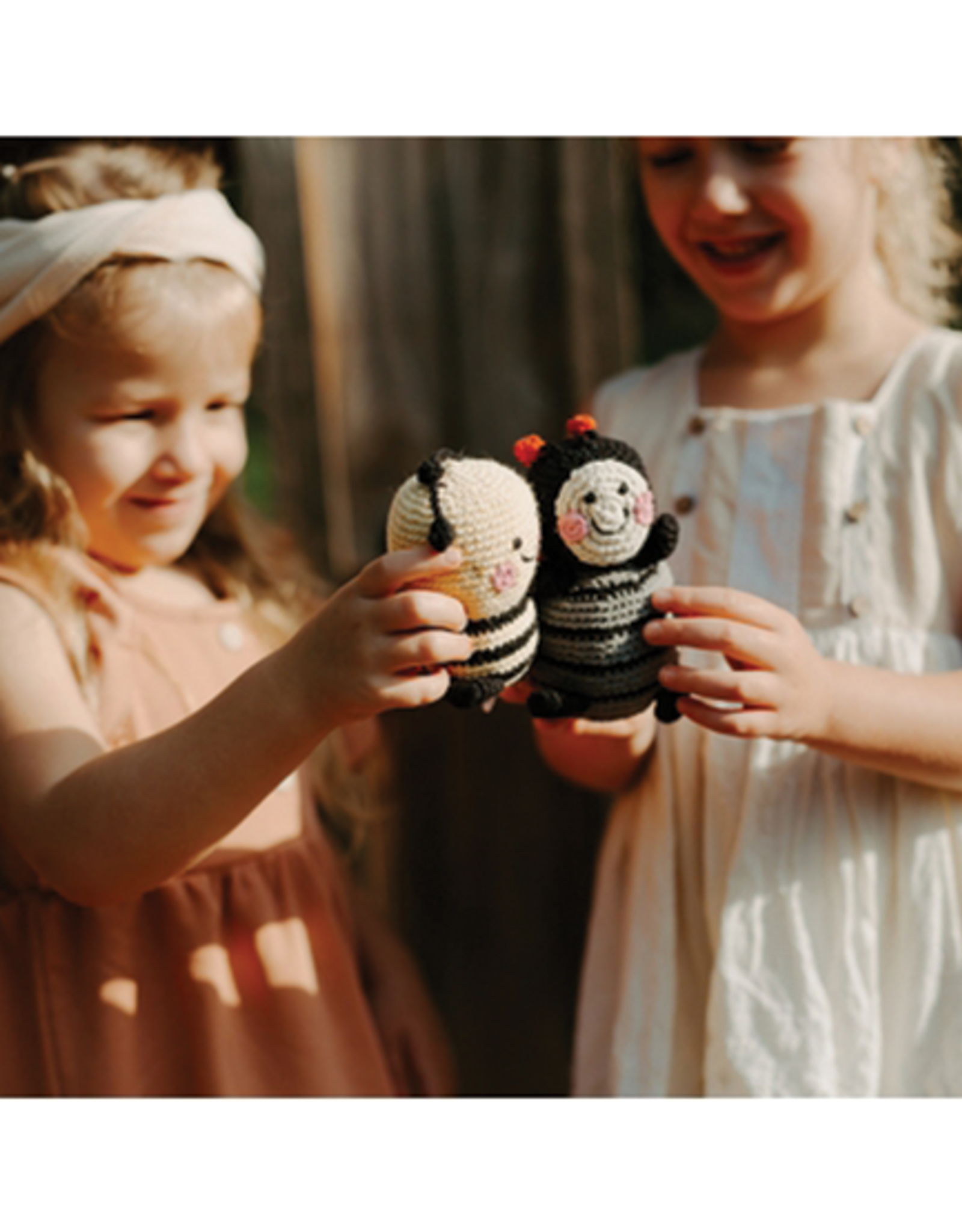 Pebble Pebble Friendly Lady Bug Rattle