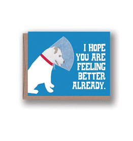 Dog with Cone Get Well Card