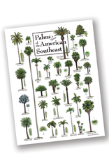 Palms of the American Southeast, 550 Piece Puzzle