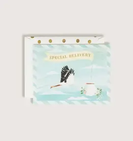 Special Delivery Baby Card