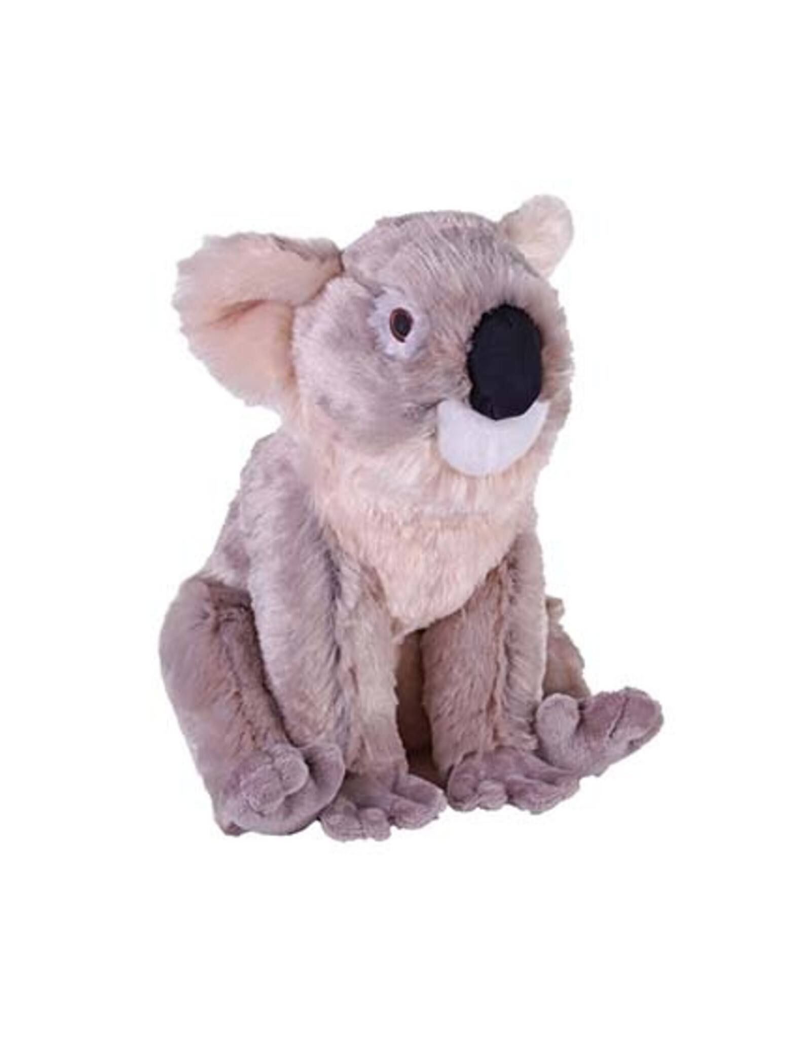 Koala, 12" Plush