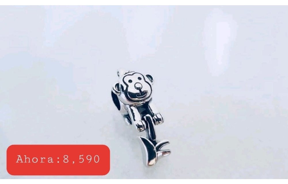 CHARM MONO PLATA 925 210000001045