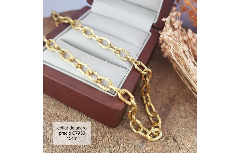 COLLAR 45CM ACERO 210000003225