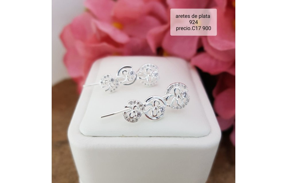 ARETES DAMA PLATA 925 210000004511