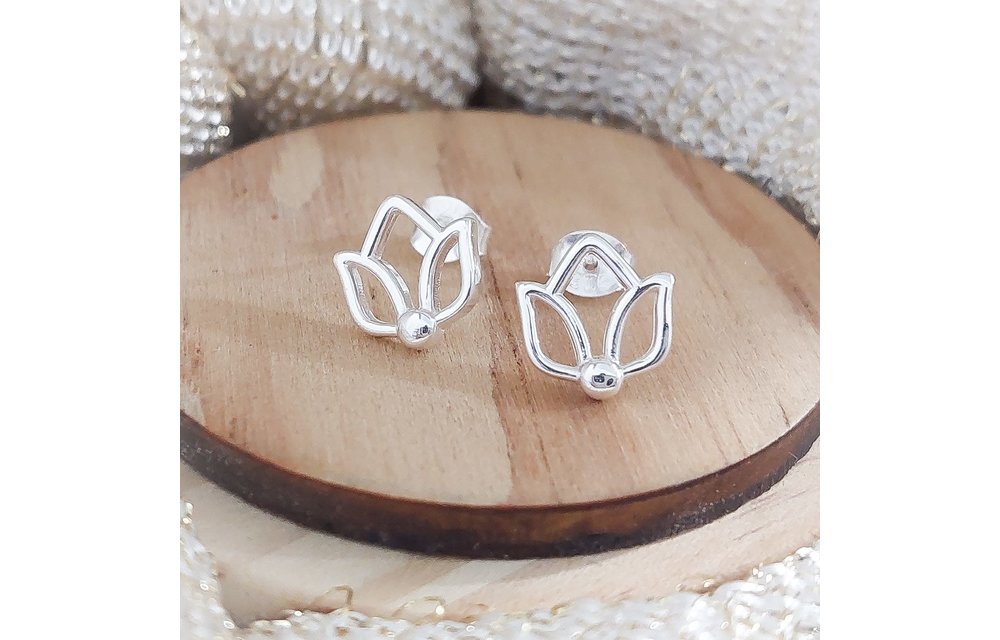 ARETES PLATA 925 210000008226