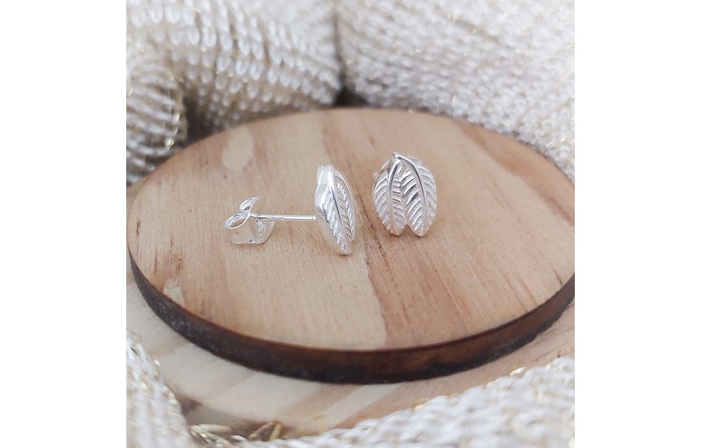 ARETES PLATA 925 210000008230