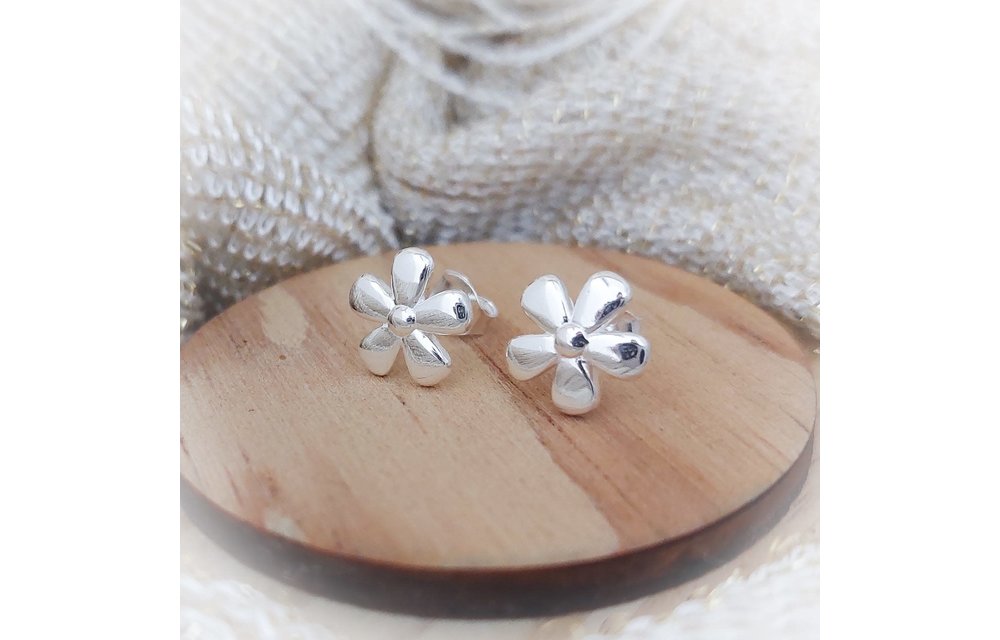 ARETES PLATA 925 210000008222