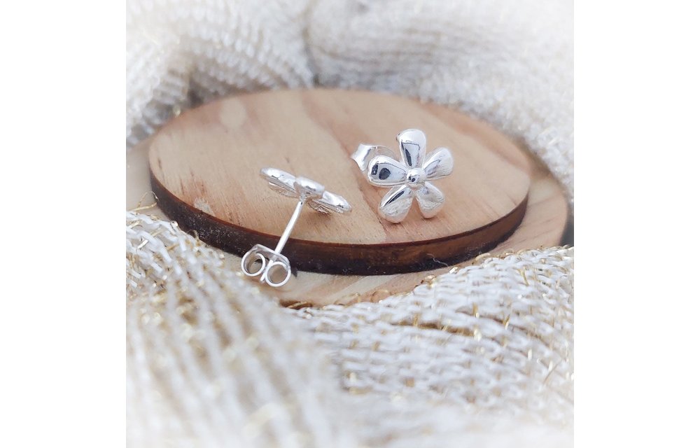 ARETES PLATA 925 210000008222