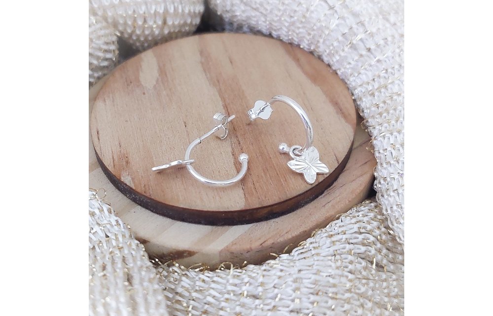 ARETES PLATA 925 210000008340