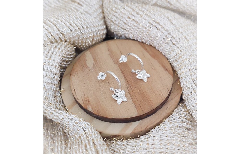 ARETES PLATA 925 210000008340