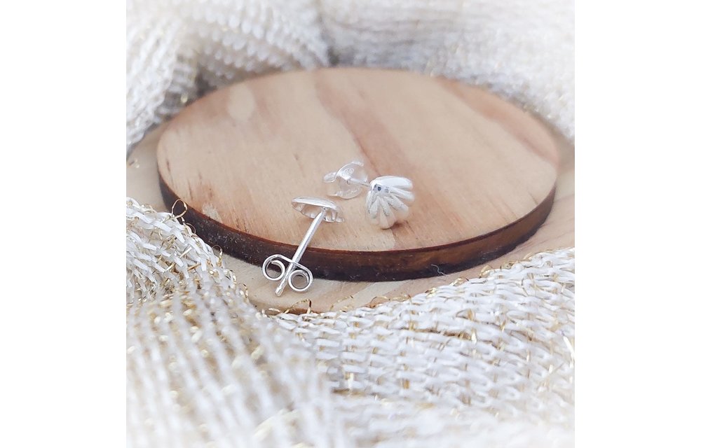 ARETES PLATA 925 210000008336